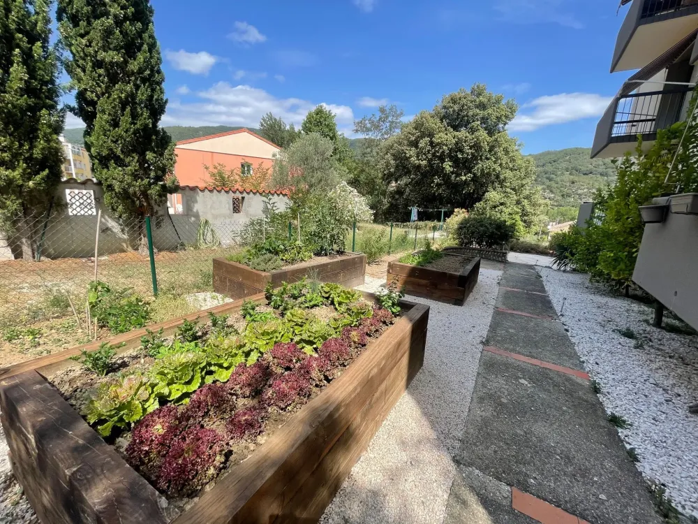 Jardins potagers