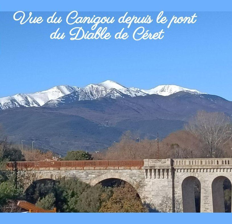 Vue du Canigou